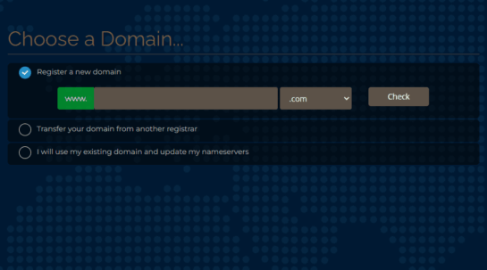 LONE Domain Names