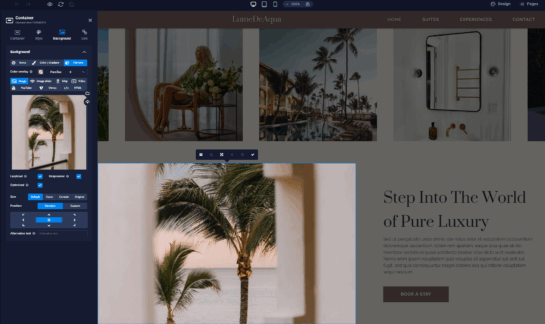 LoneSync Website Builder Feature: Container Image Optimize