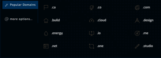 LoneSync Domains Options
