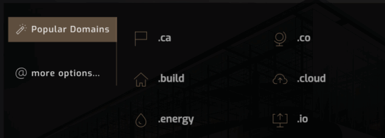 LoneSync Popular Domains