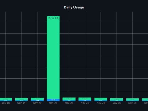LoneSync-Server-Daily-Graph
